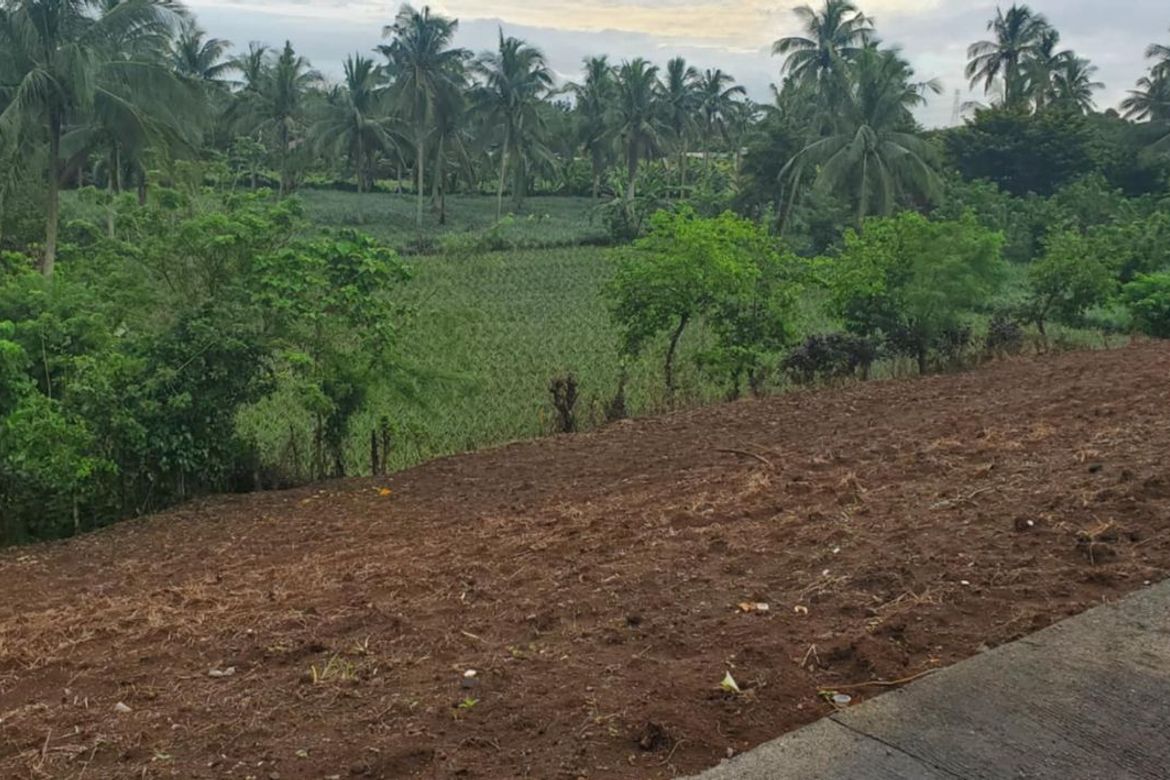 Land for Sale in Tubuan II, Silang, Cavite – photo 3