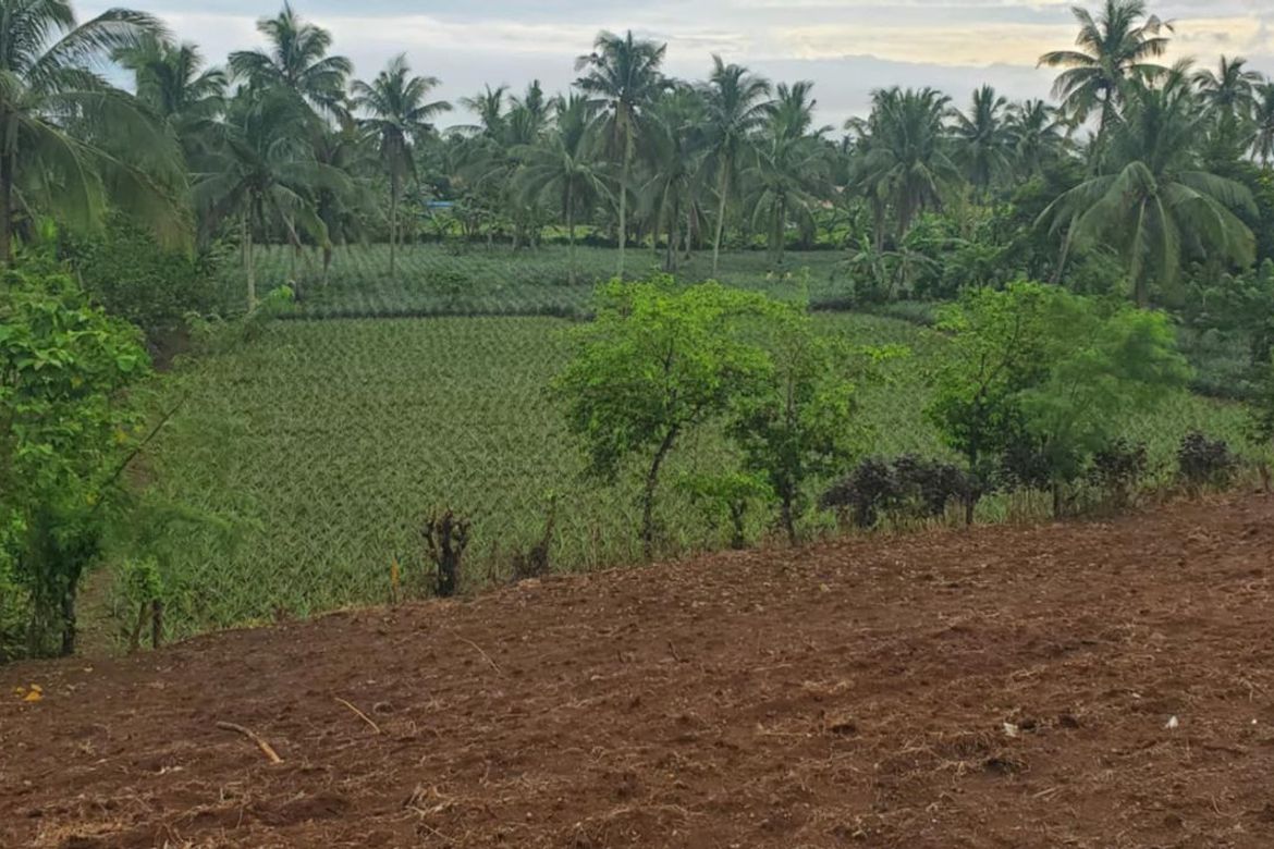 Land for Sale in Tubuan II, Silang, Cavite – photo 4