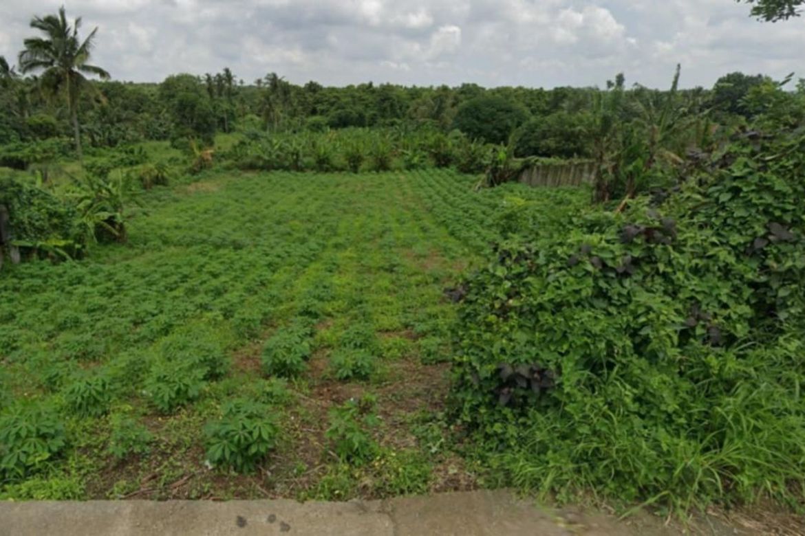 Land for Sale in Tubuan II, Silang, Cavite – photo 6