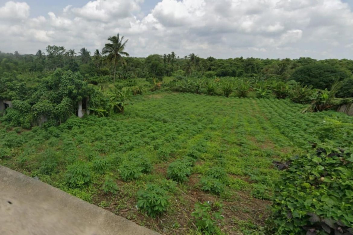 Land for Sale in Tubuan II, Silang, Cavite – photo 7