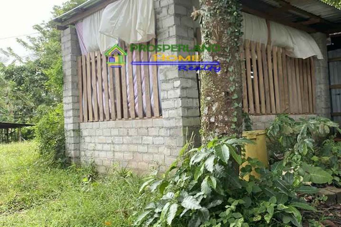 Land for Sale in Tubuan II, Silang, Cavite – photo 2