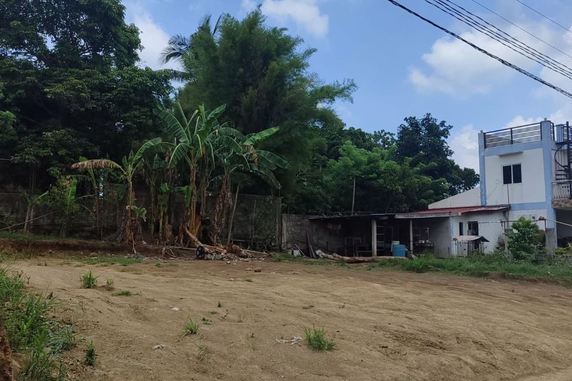 Land for Sale in Tubuan II, Silang, Cavite – photo 2
