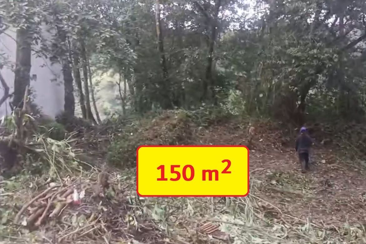 Land for Sale in Tuding, Itogon, Benguet – photo 4