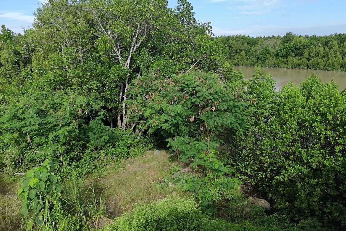 Land for Sale in Tuganay, Carmen, Davao del Norte – photo 6