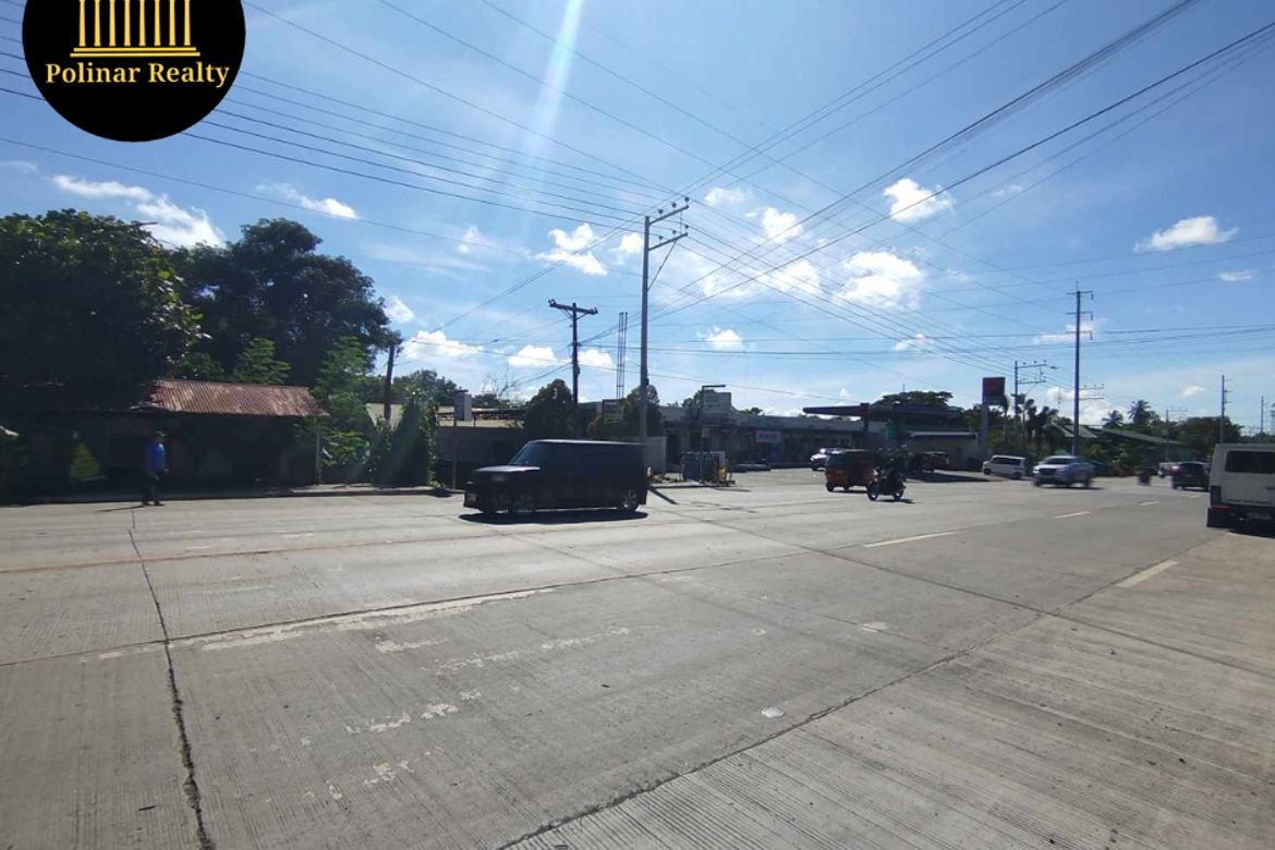 Land for Sale in Tugbok, Davao City, Davao del Sur – photo 2
