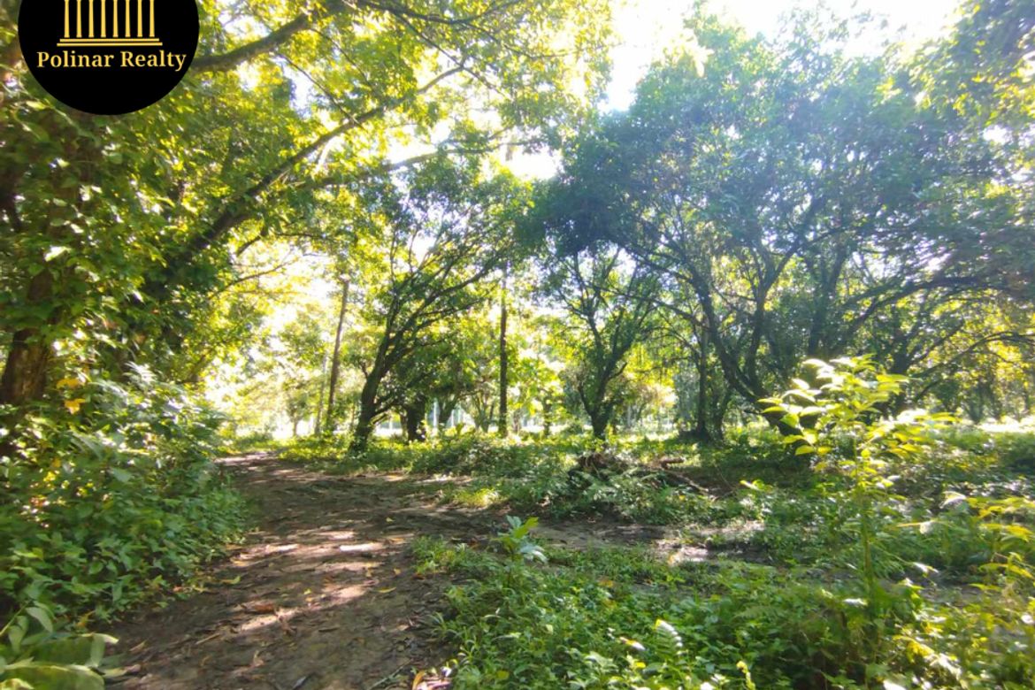Land for Sale in Tugbok, Davao City, Davao del Sur – photo 8
