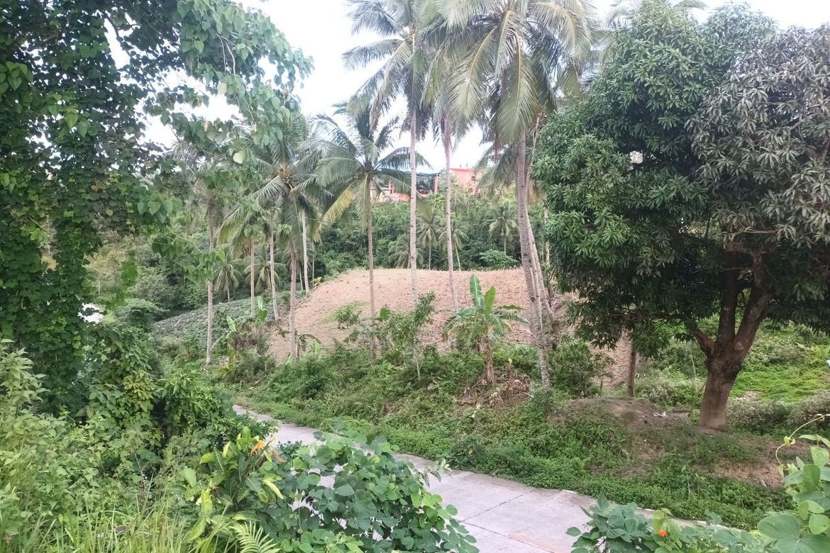 Land for Sale in Tulang, Argao, Cebu – photo 2