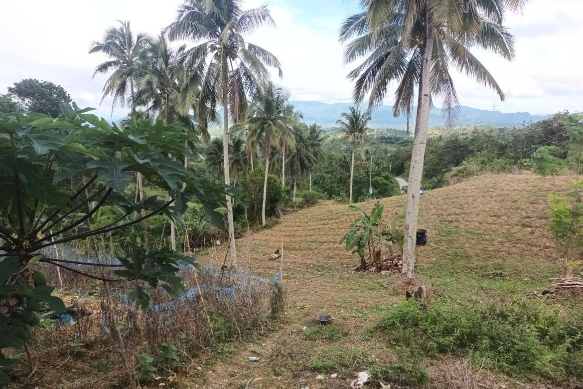 Land for Sale in Tulang, Argao, Cebu – photo 3