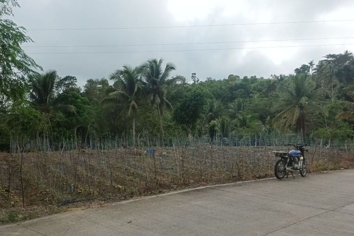 Land for Sale in Tulang, Argao, Cebu – photo 5