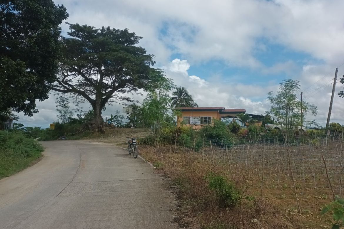 Land for Sale in Tulang, Argao, Cebu – photo 6