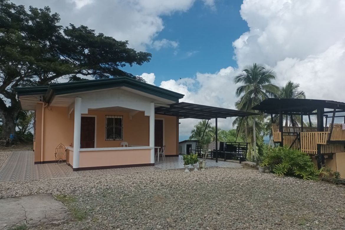Land for Sale in Tulang, Argao, Cebu – photo 8