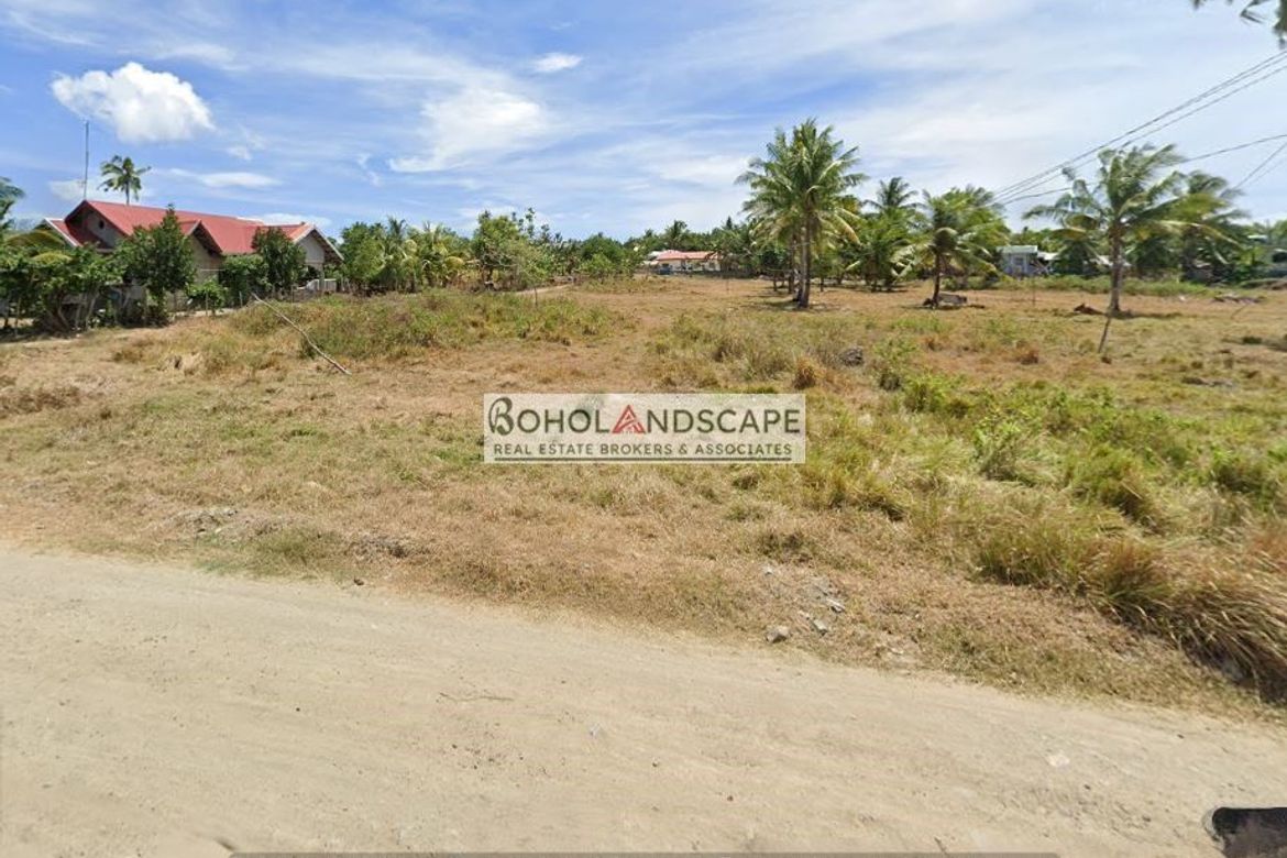 Land for Sale in Tulang, Getafe, Bohol