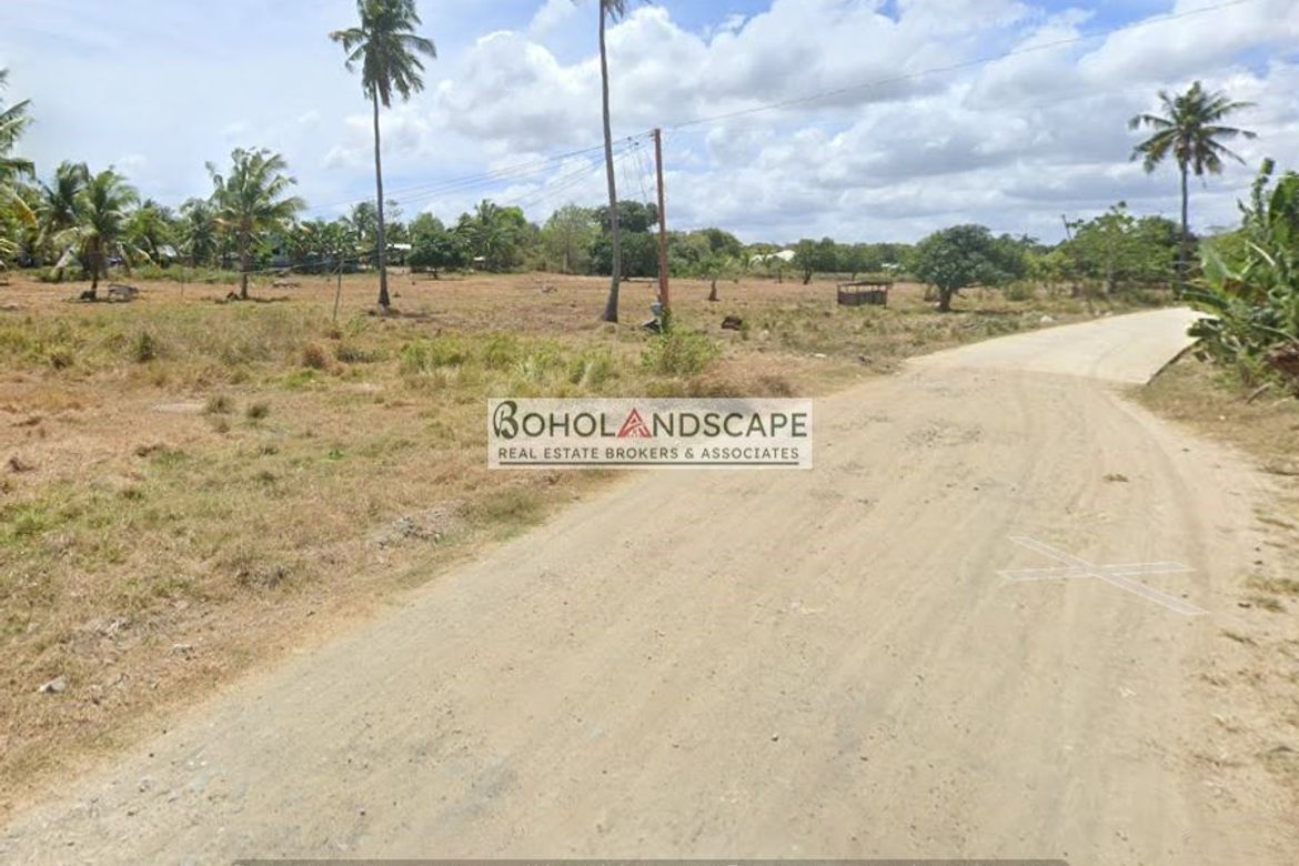 Land for Sale in Tulang, Getafe, Bohol – photo 3