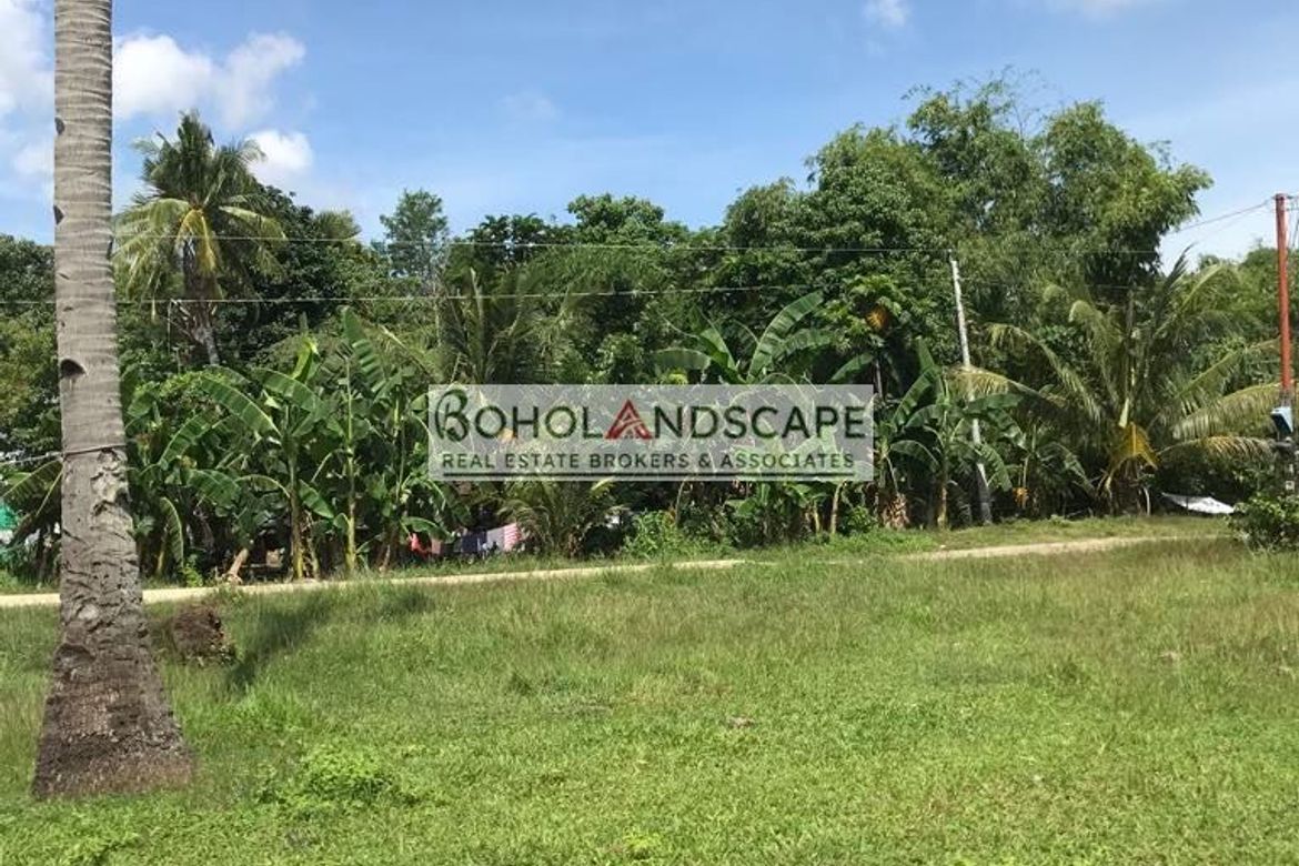 Land for Sale in Tulang, Getafe, Bohol – photo 5