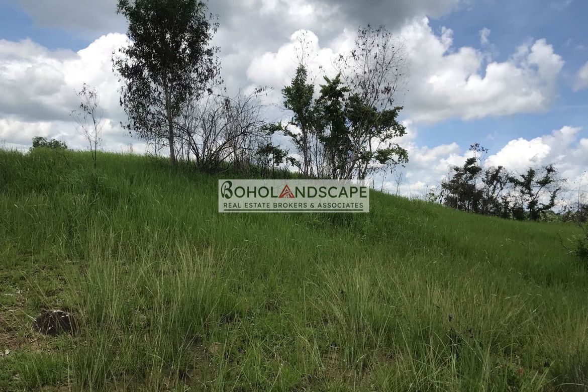 Land for Sale in Tulang, Getafe, Bohol