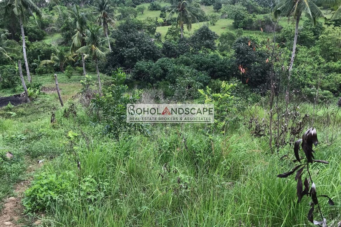 Land for Sale in Tulang, Getafe, Bohol – photo 3