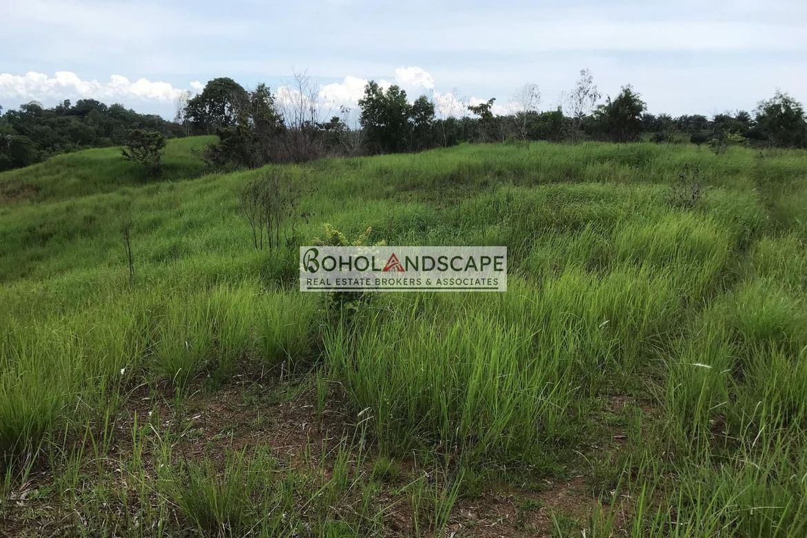 Land for Sale in Tulang, Getafe, Bohol – photo 4