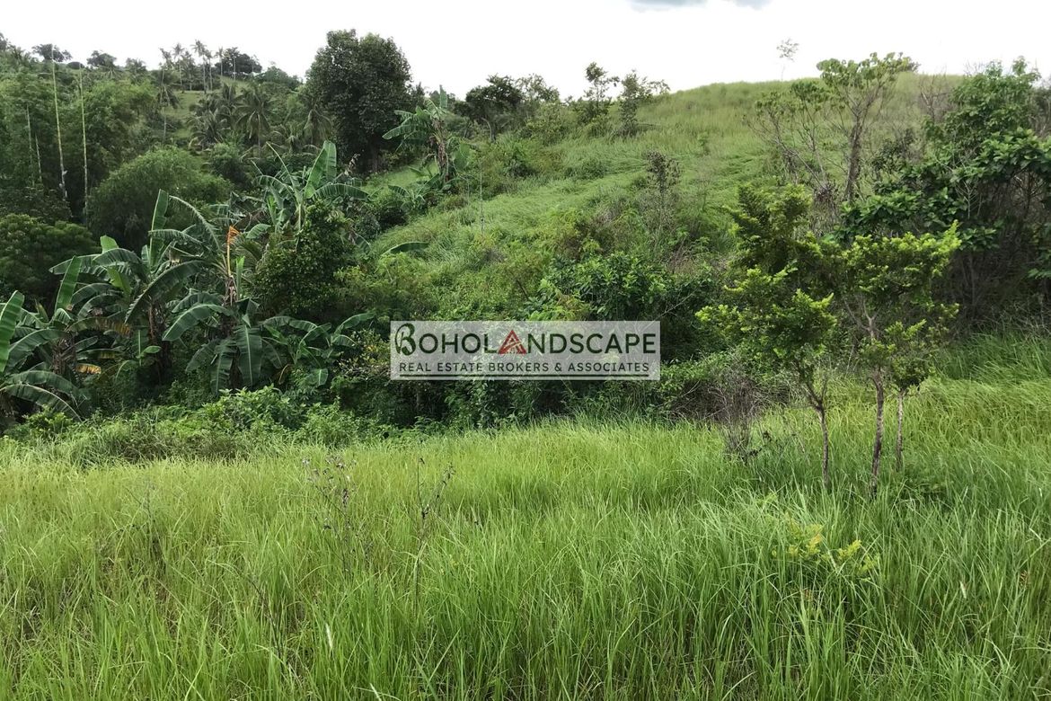 Land for Sale in Tulang, Getafe, Bohol – photo 5