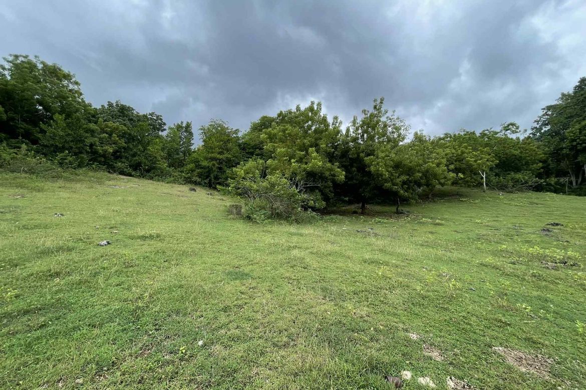 Land for Sale in Tulapos, Enrique Villanueva, Siquijor – photo 3