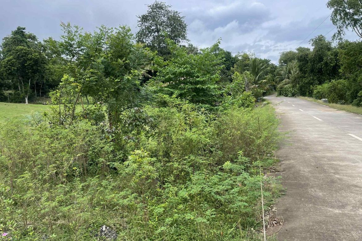 Land for Sale in Tulapos, Enrique Villanueva, Siquijor – photo 7
