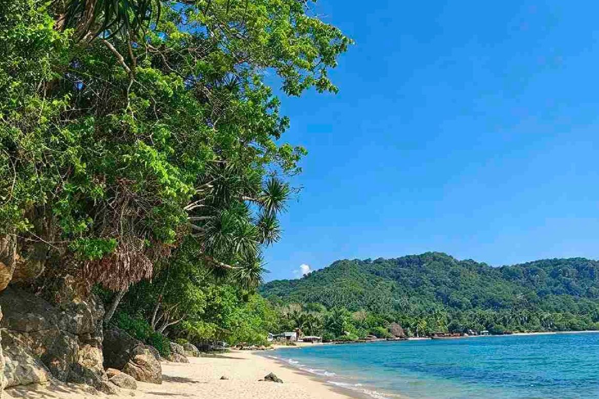 Land for Sale in Tulay Buhangin, Padre Burgos, Quezon – photo 5