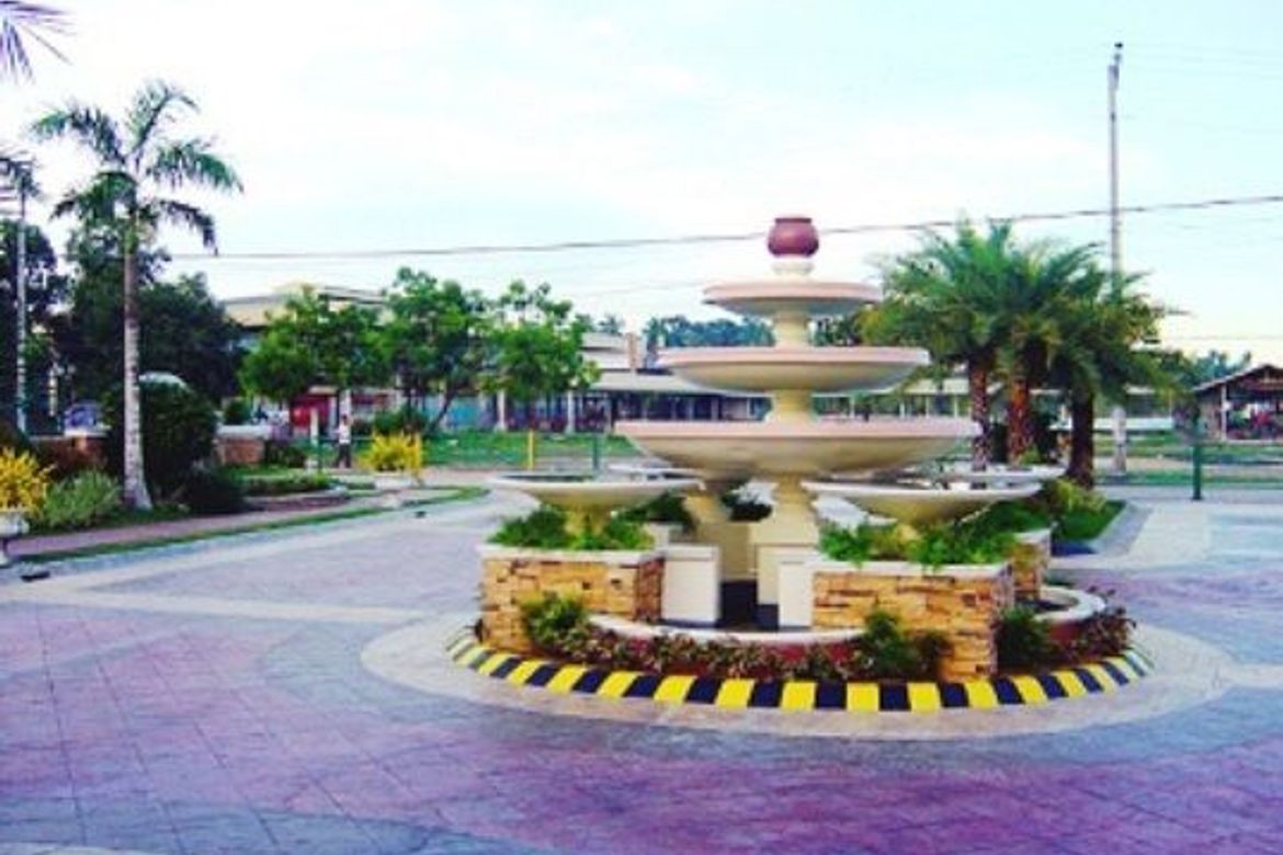 Land for Sale in Tulay, Minglanilla, Cebu – photo 8