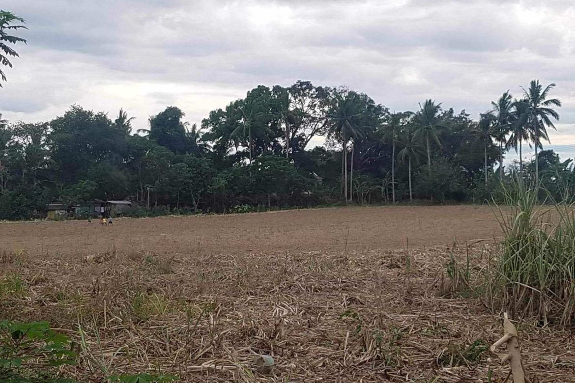 Land for Sale in Tulay Na Patpat, Ibaan, Batangas – photo 2