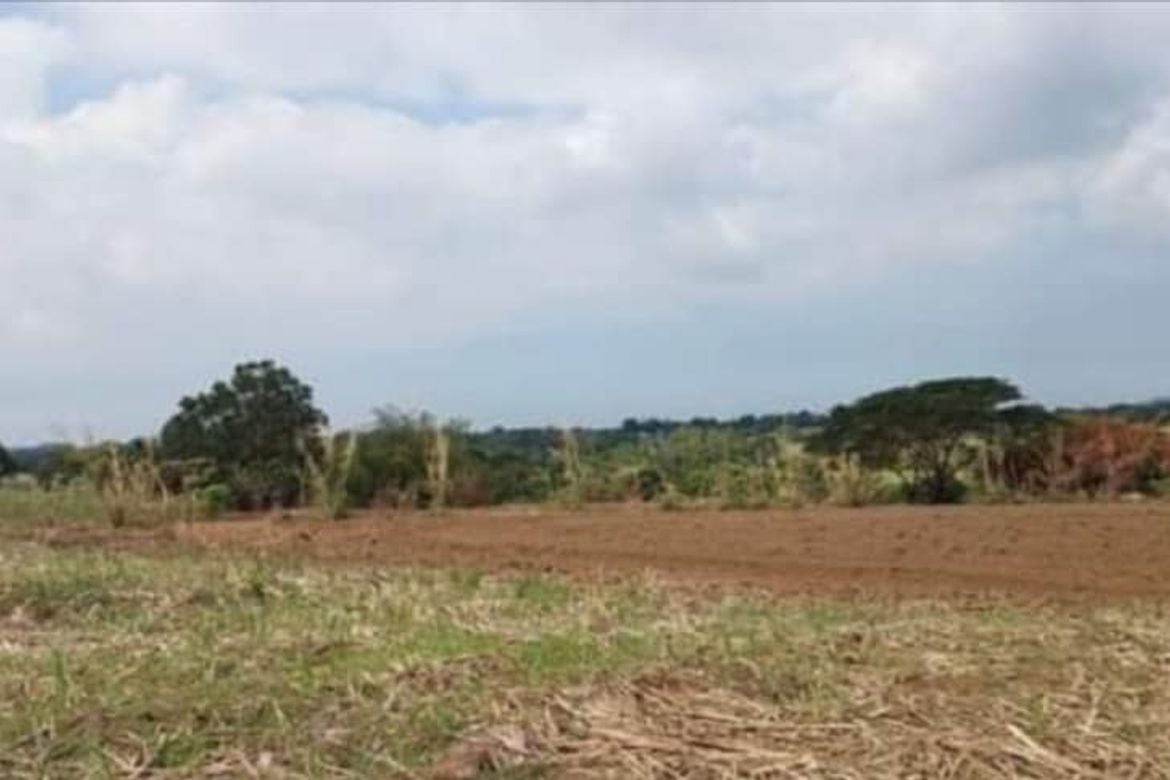 Land for Sale in Tumalim, Nasugbu, Batangas – photo 3