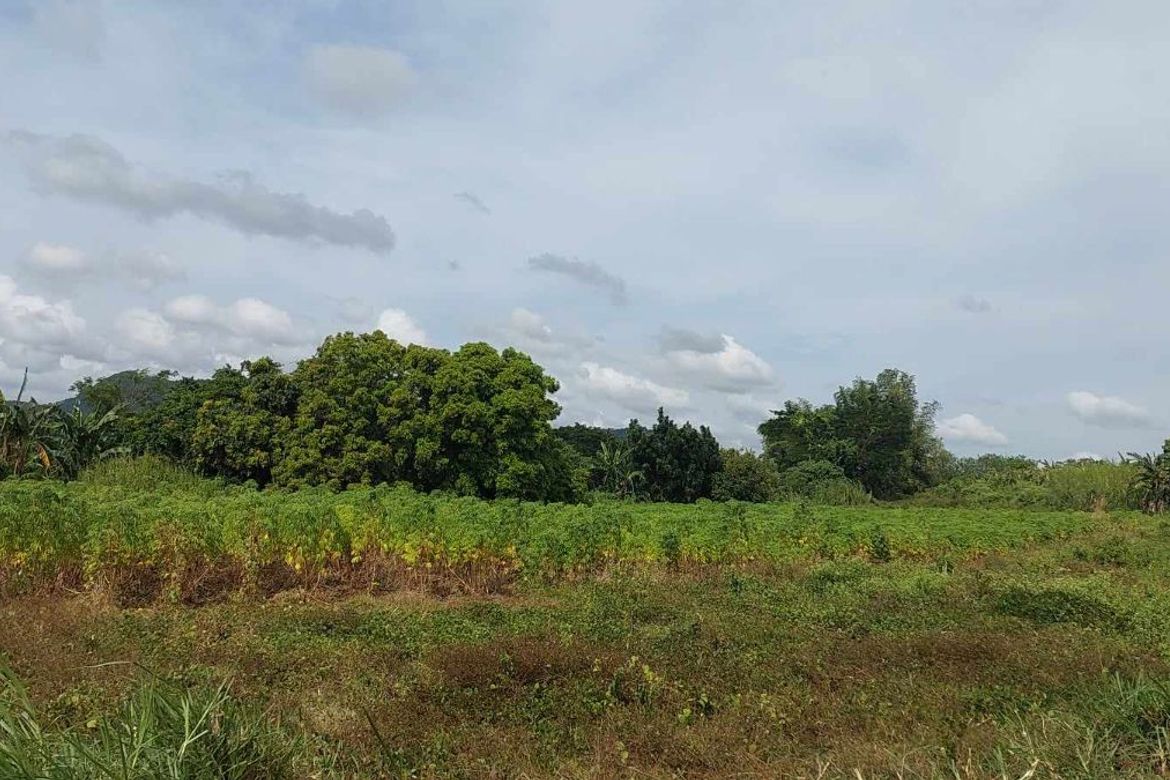 Land for Sale in Tumalim, Nasugbu, Batangas – photo 5