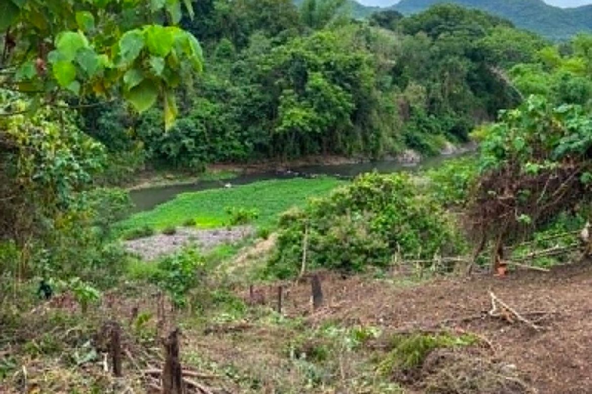 Land for Sale in Tumalim, Nasugbu, Batangas – photo 7