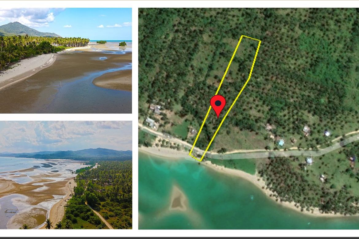 Land for Sale in Tumarbong, Roxas, Palawan