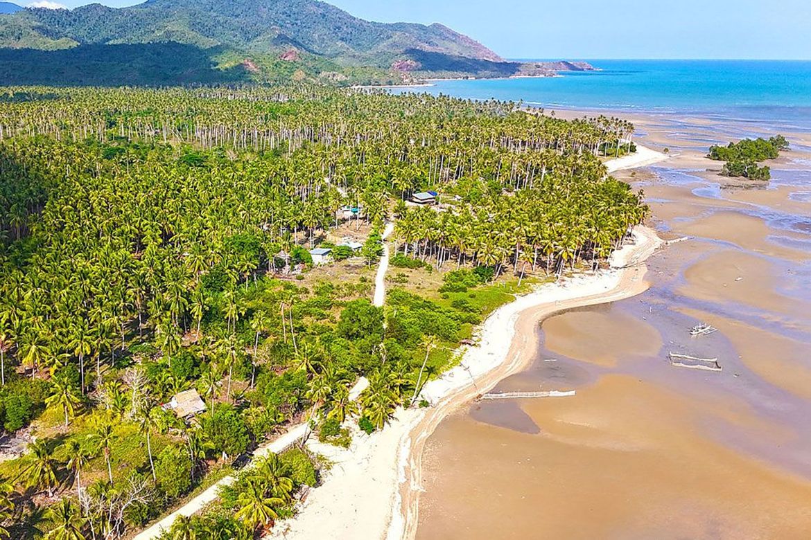 Land for Sale in Tumarbong, Roxas, Palawan – photo 3