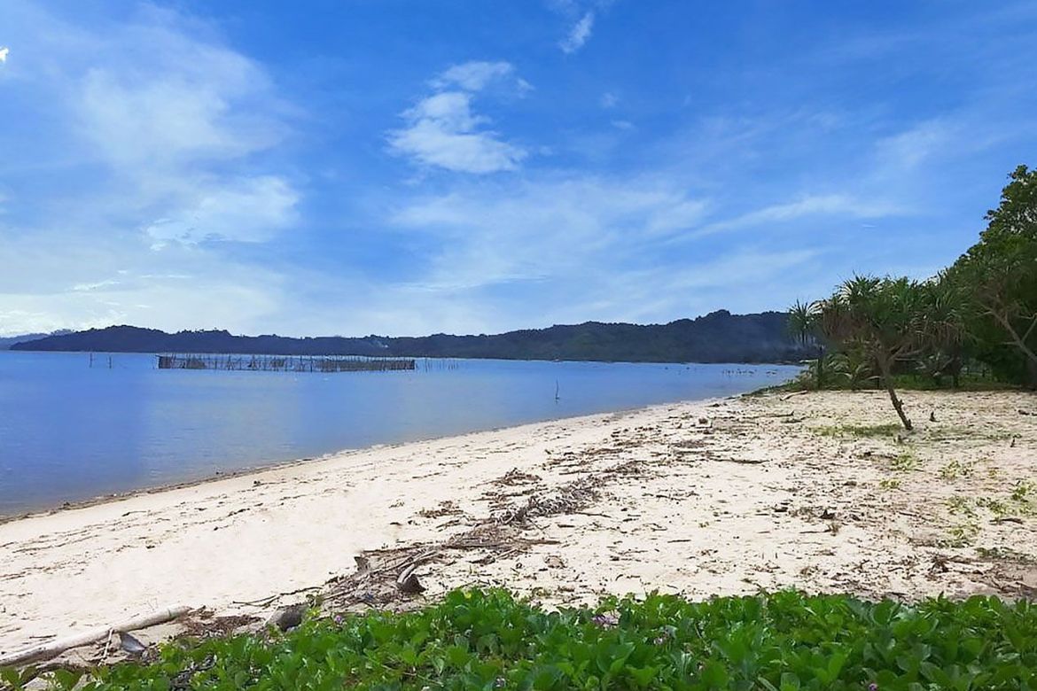 Land for Sale in Tumarbong, Roxas, Palawan – photo 7