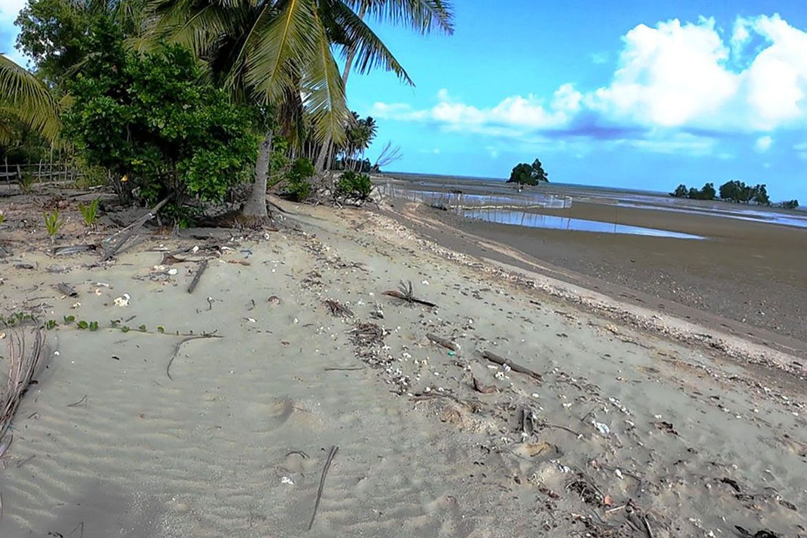Land for Sale in Tumarbong, Roxas, Palawan – photo 8