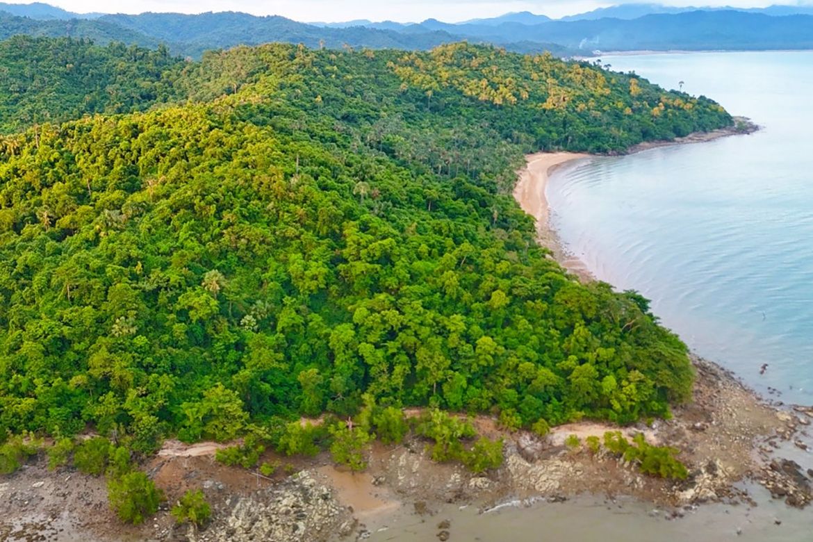 Land for Sale in Tumarbong, Roxas, Palawan – photo 2