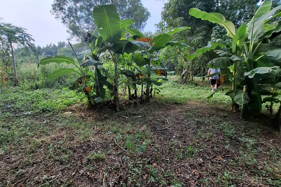 Land for Sale in Tunasan, Muntinlupa, Metro Manila – photo 4