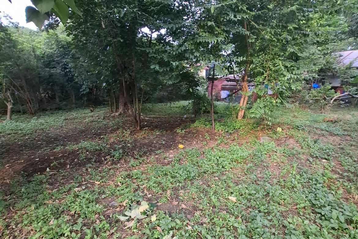 Land for Sale in Tunasan, Muntinlupa, Metro Manila – photo 7