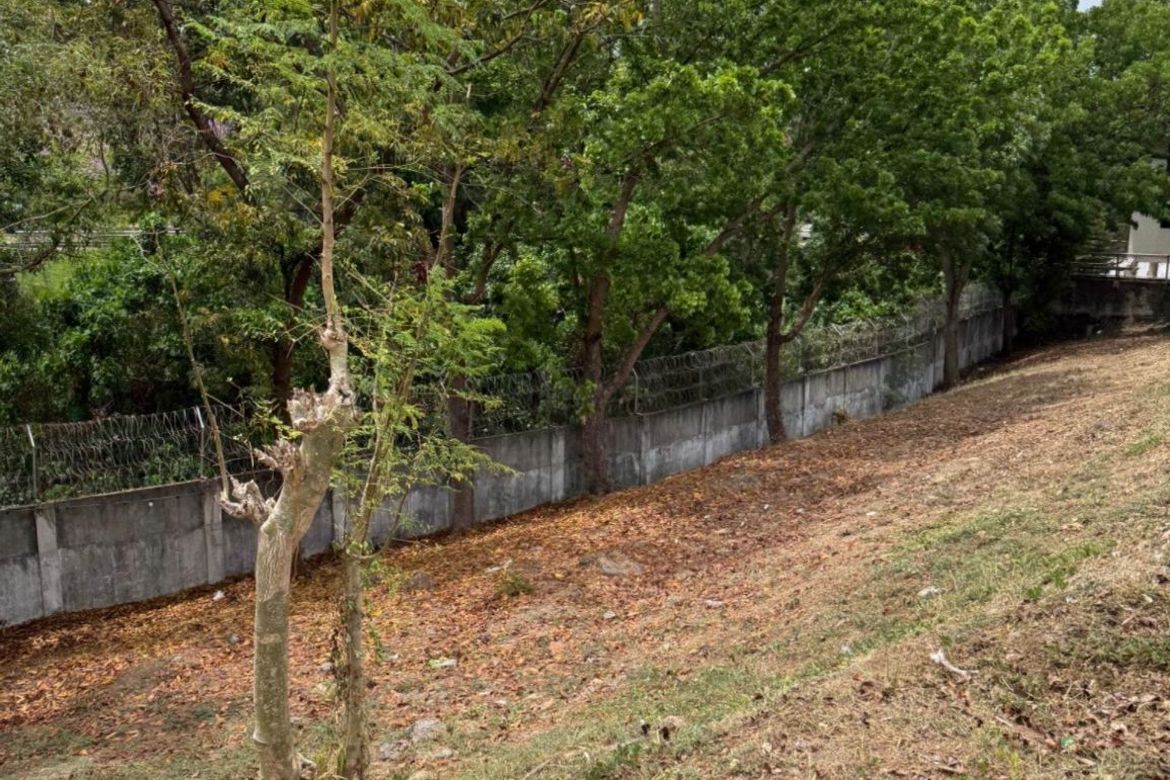 Land for Sale in Tunasan, Muntinlupa, Metro Manila – photo 2