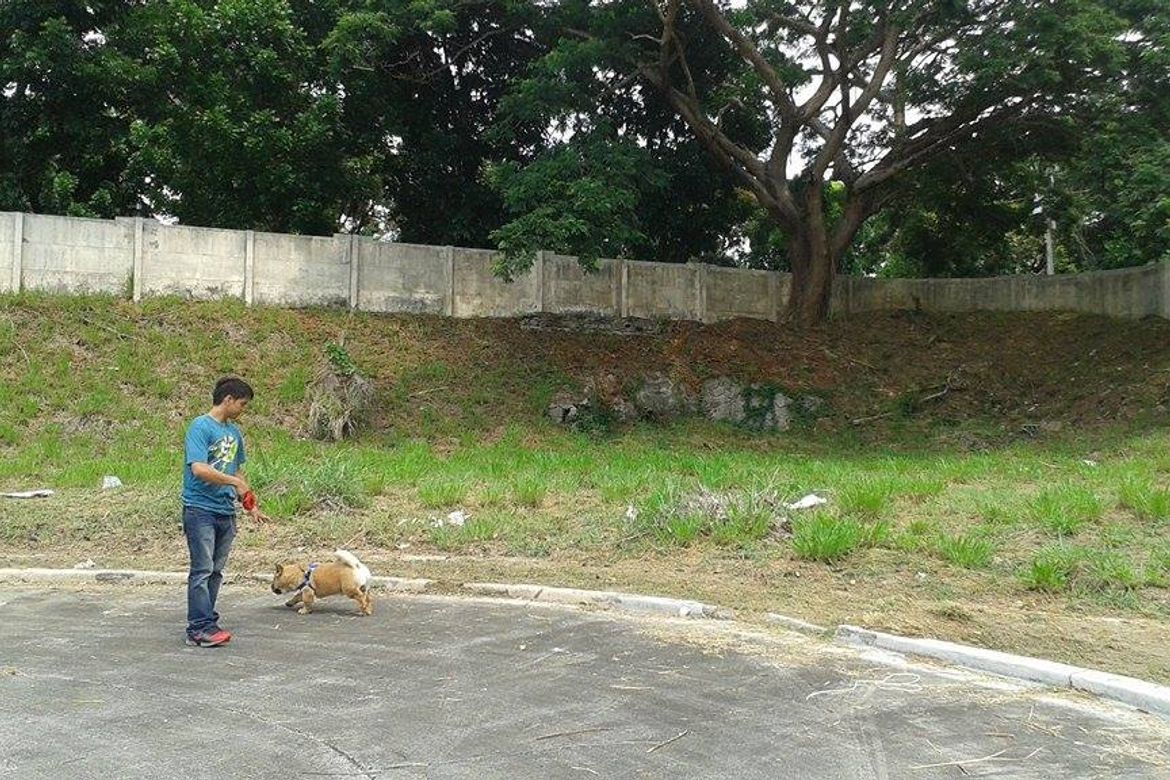 Land for Sale in Tunasan, Muntinlupa, Metro Manila – photo 5
