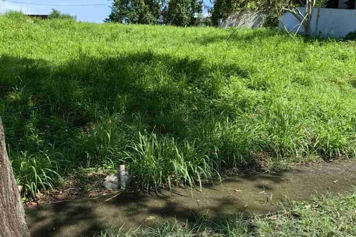 Land for Sale in Tunasan, Muntinlupa, Metro Manila – photo 3