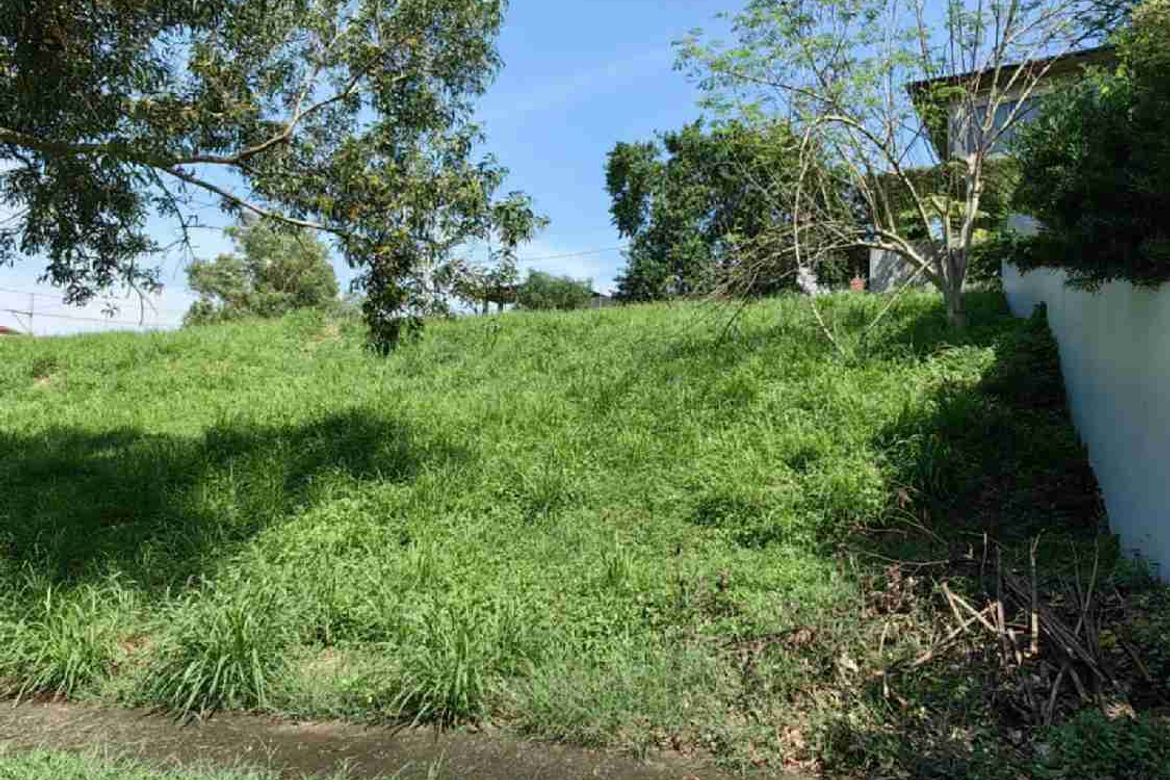Land for Sale in Tunasan, Muntinlupa, Metro Manila – photo 5