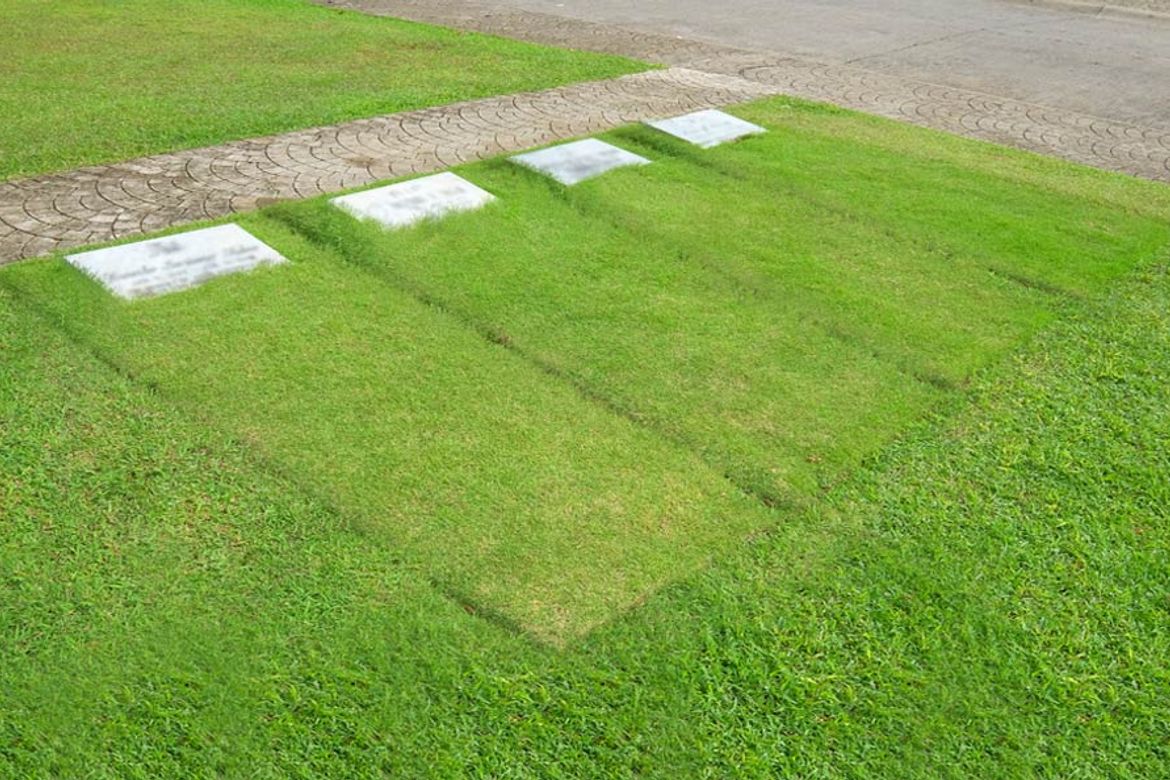 Land for Sale in Tunasan, Muntinlupa, Metro Manila – photo 3