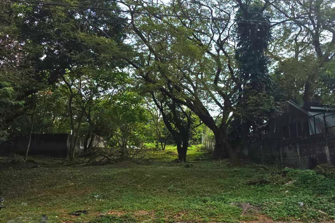 Land for Sale in Tunasan, Muntinlupa, Metro Manila