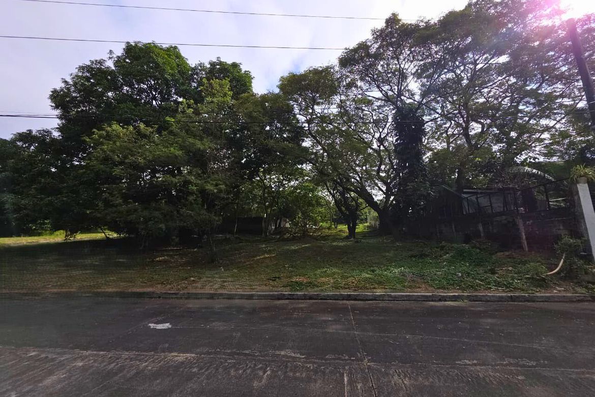 Land for Sale in Tunasan, Muntinlupa, Metro Manila – photo 3
