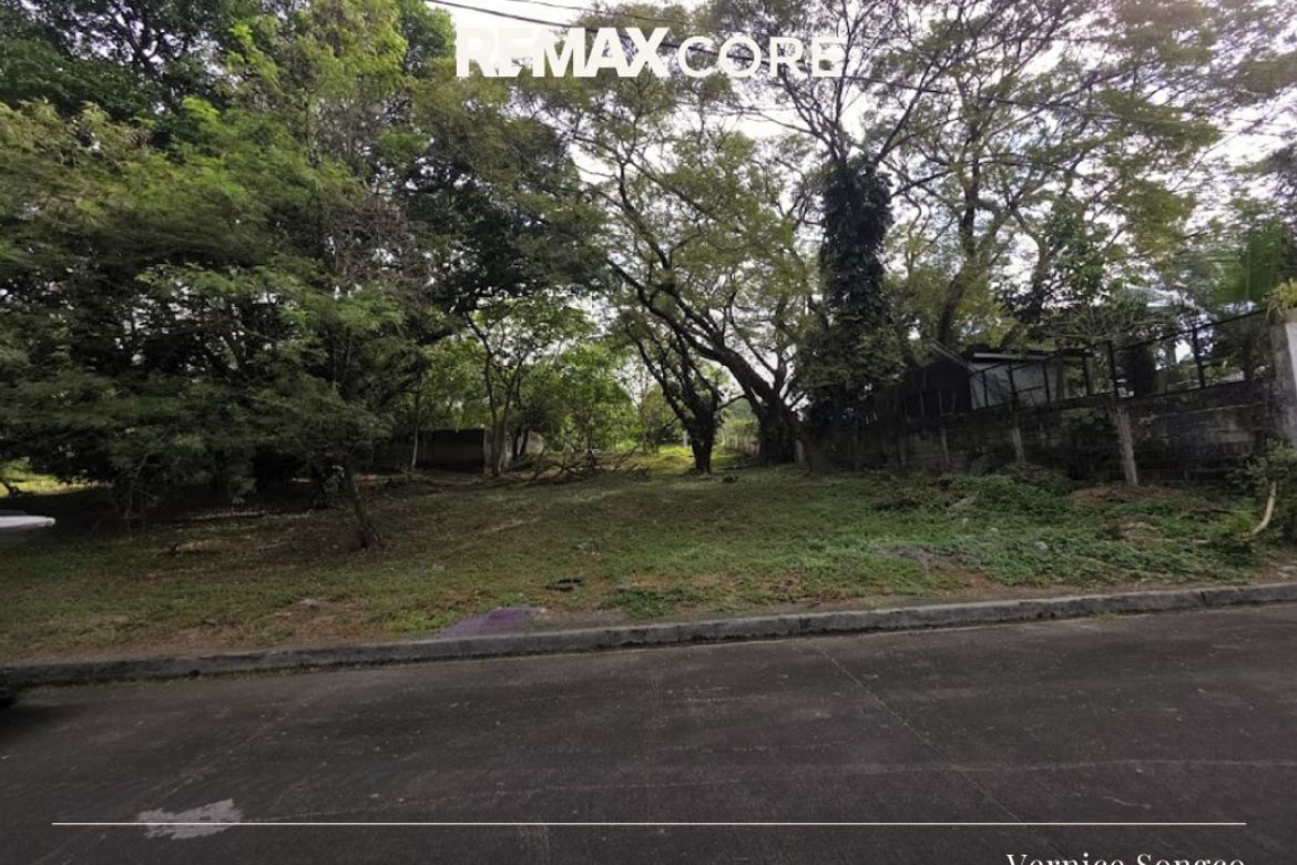 Land for Sale in Tunasan, Muntinlupa, Metro Manila – photo 2