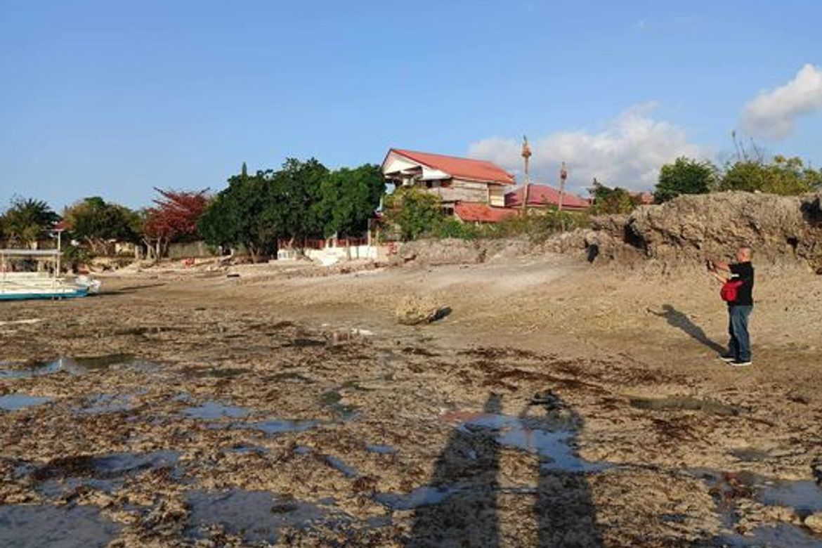 Land for Sale in Tunga, Moalboal, Cebu – photo 2