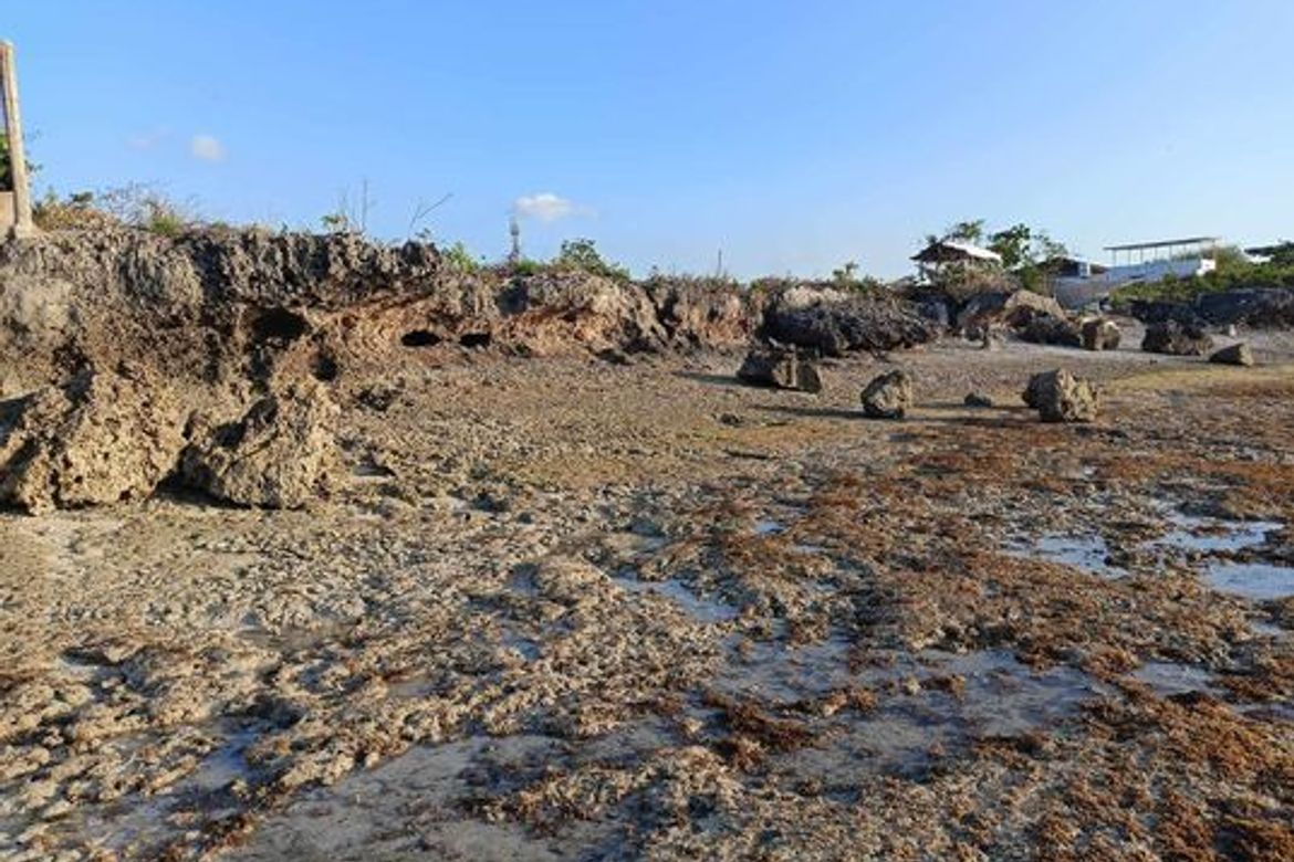 Land for Sale in Tunga, Moalboal, Cebu – photo 4