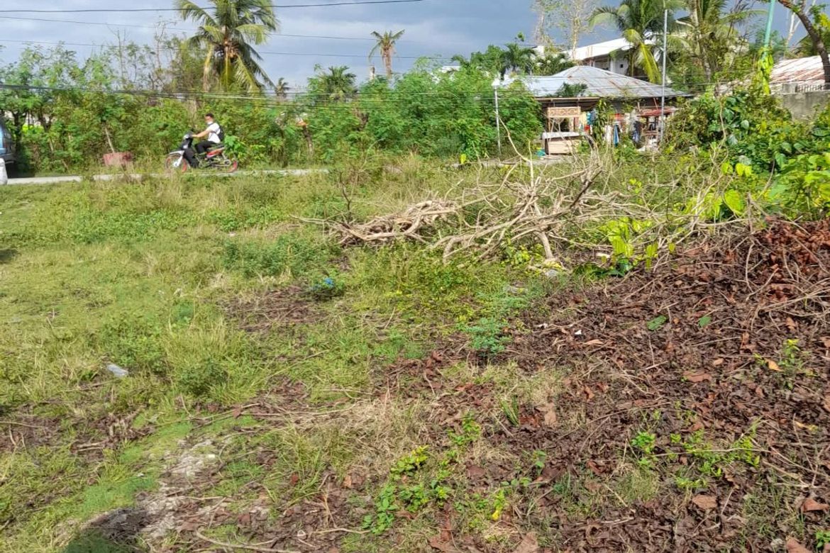 Land for Sale in Tunga, Moalboal, Cebu