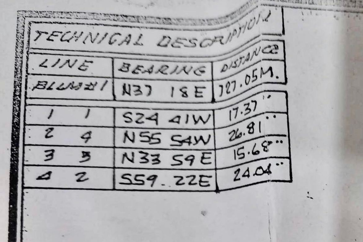 Land for Sale in Tunga, Moalboal, Cebu – photo 4