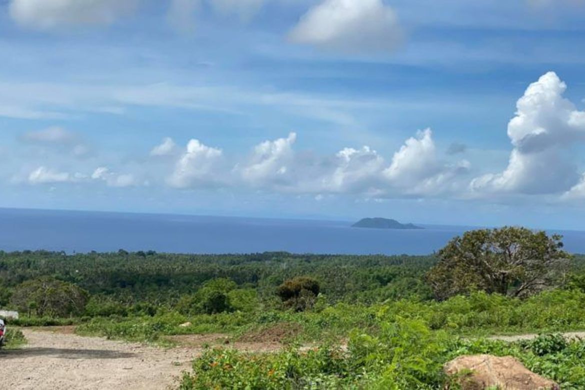 Land for Sale in Tunga-Tunga, Dauin, Negros Oriental – photo 5